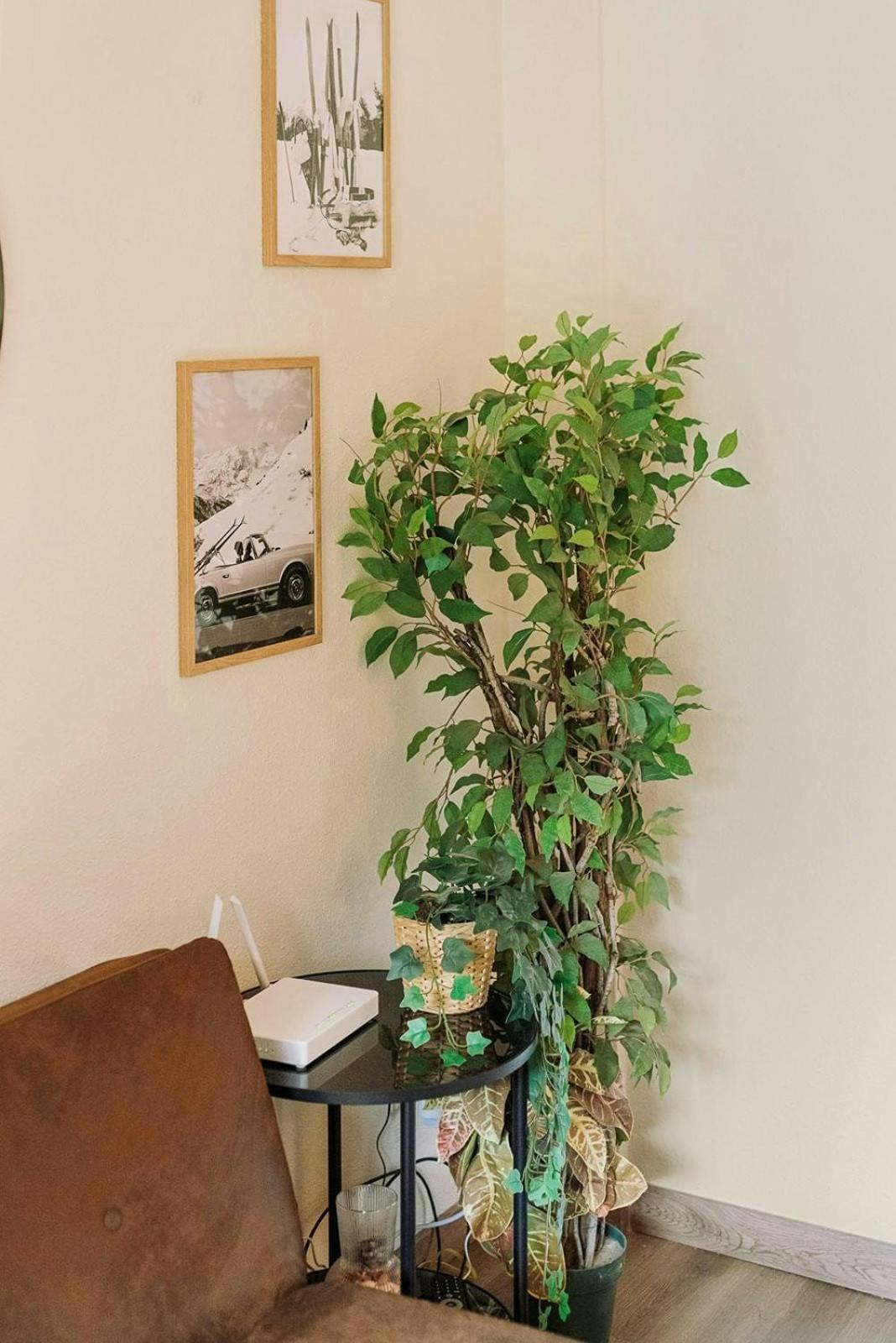 Apartment La Casita Del Arbol Wifismarttvgarajevistas